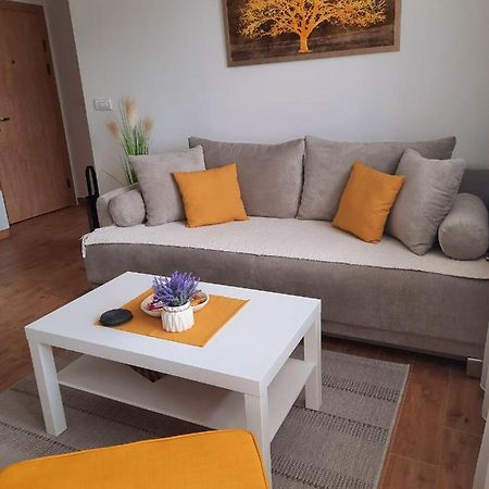 Bankovic Apartman Vrnjačka Banja Exteriér fotografie