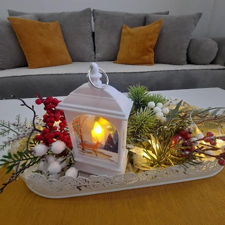 Bankovic Apartman Vrnjačka Banja Exteriér fotografie