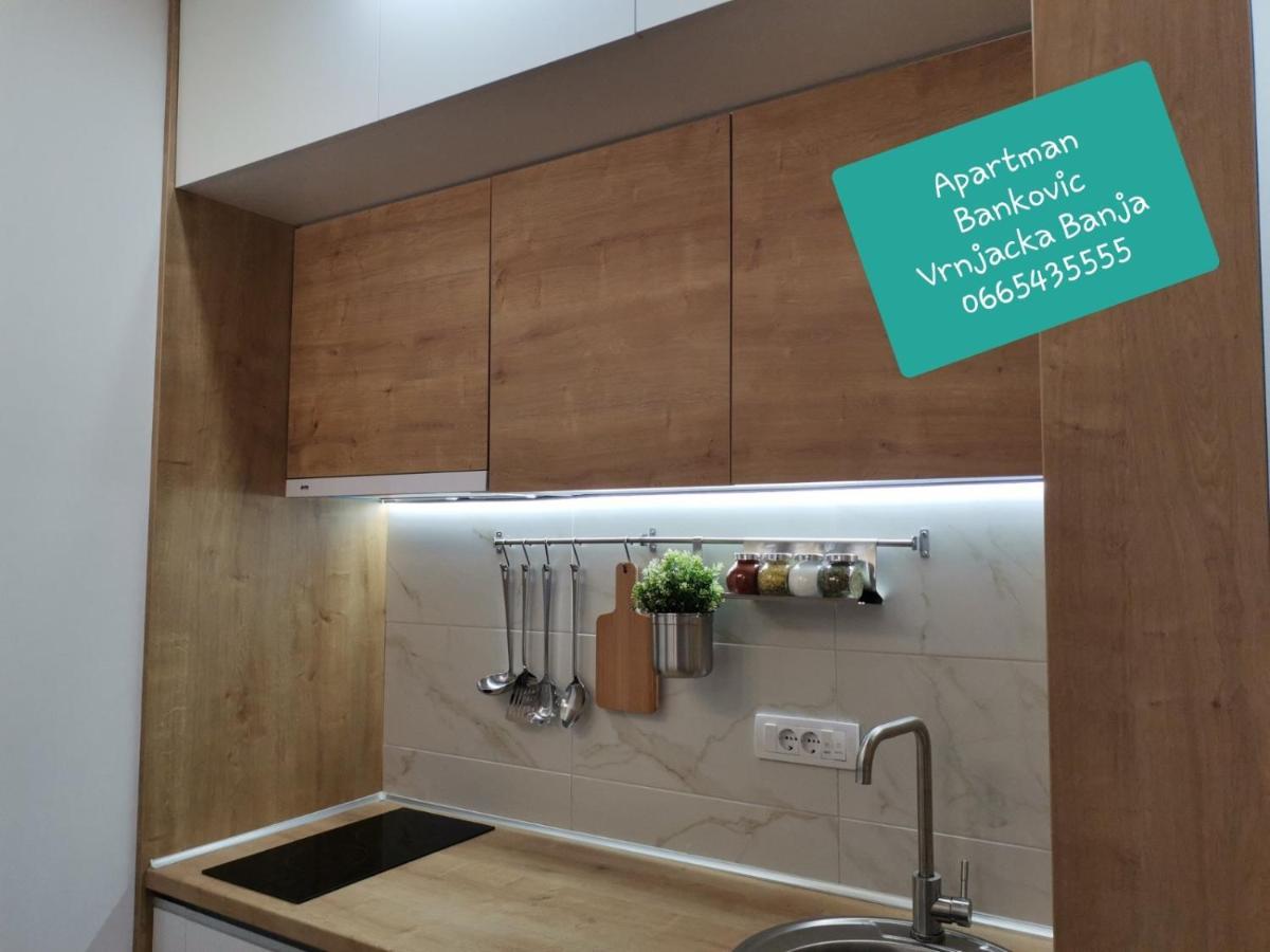 Bankovic Apartman Vrnjačka Banja Exteriér fotografie