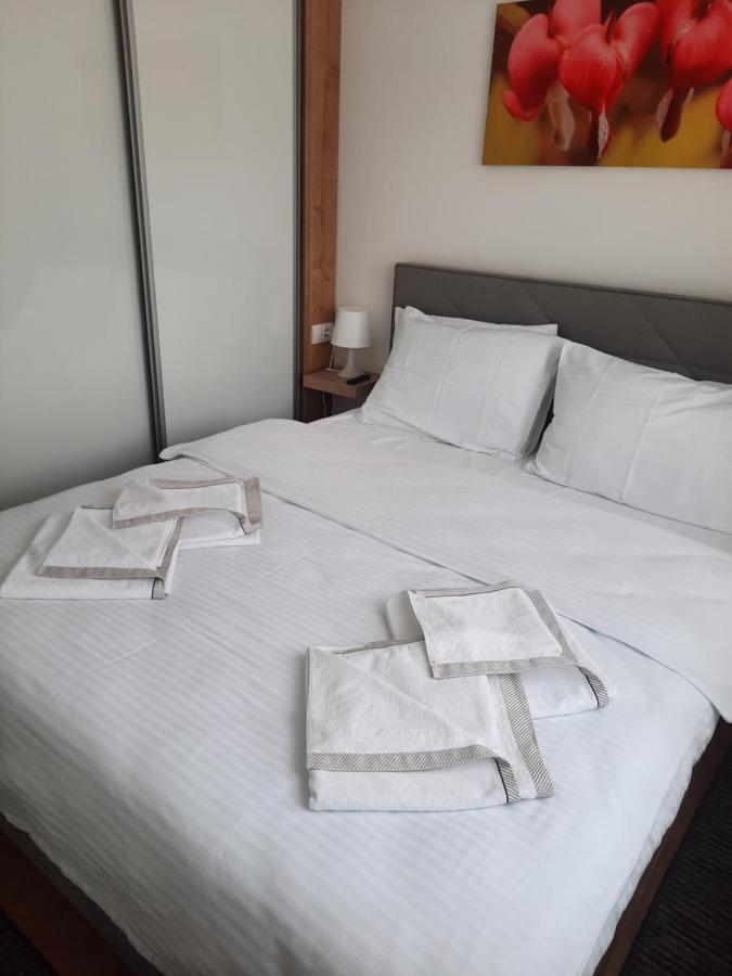 Bankovic Apartman Vrnjačka Banja Exteriér fotografie