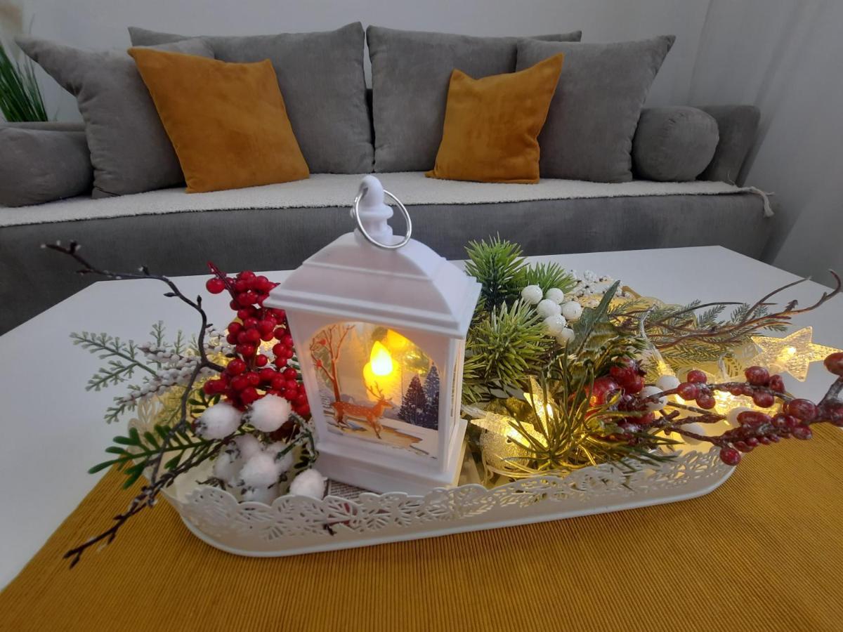 Bankovic Apartman Vrnjačka Banja Exteriér fotografie